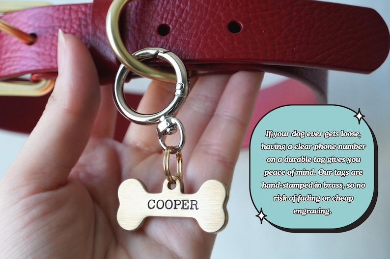 Premium Hand-Stamped Brass Bone Dog Tag — Personalized Double Sided Pet Name and Phone Number — Accessory for Collar Id in Gold for Dogs. Bild 8