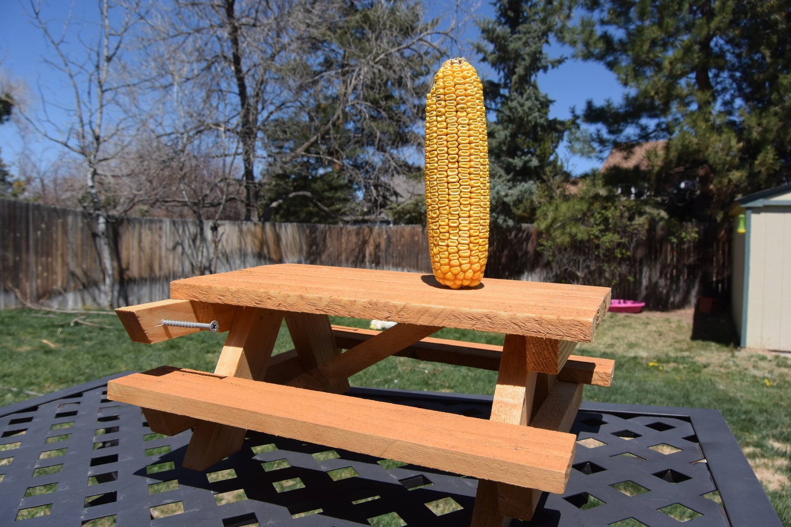 Picnic Table Squirrel Feeder Picnic Table Bird Feeder Etsy