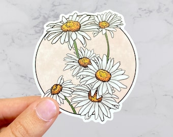 Op de afbeelding: Een sticker met een cluster van witte madeliefjes met gele centra, gerangschikt in een cirkel op een perzikkleurige achtergrond.