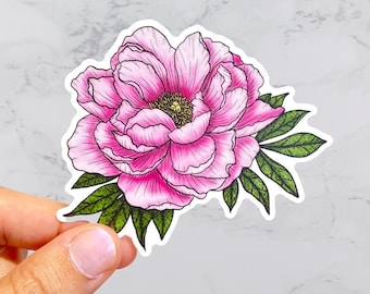 May include: A pink peony flower with green leaves. The flower is drawn in a realistic style with detailed petals and leaves.