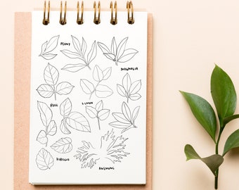 Flower LEAF Tracing Guide, Learn to Draw Leaves, Tracing project, DIGITAL DOWNLOAD, How to Draw flowers and leaves