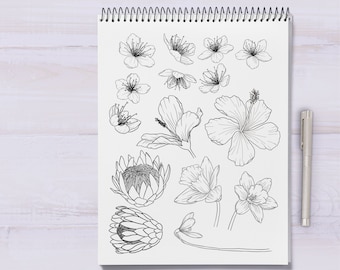 Flower Tracing Guide, Learn to Draw Flowers, Tracing project, DIGITAL DOWNLOAD, How to Draw flowers