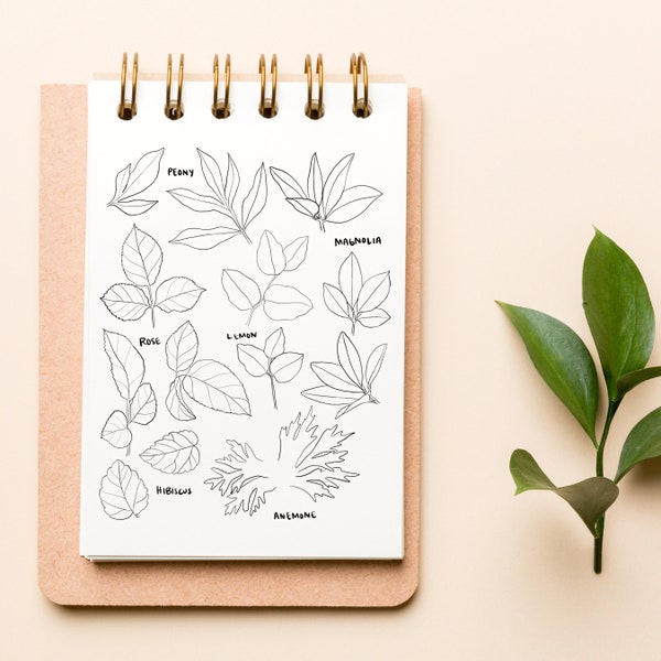Flower LEAF Tracing Guide, Learn to Draw Leaves, Tracing project, DIGITAL DOWNLOAD, How to Draw flowers and leaves