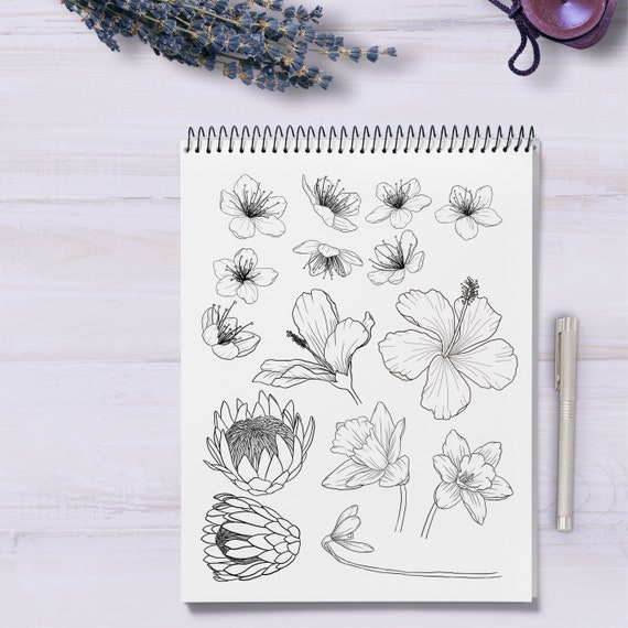 Comment dessiner et peindre des fleurs - Coloriages pour enfants