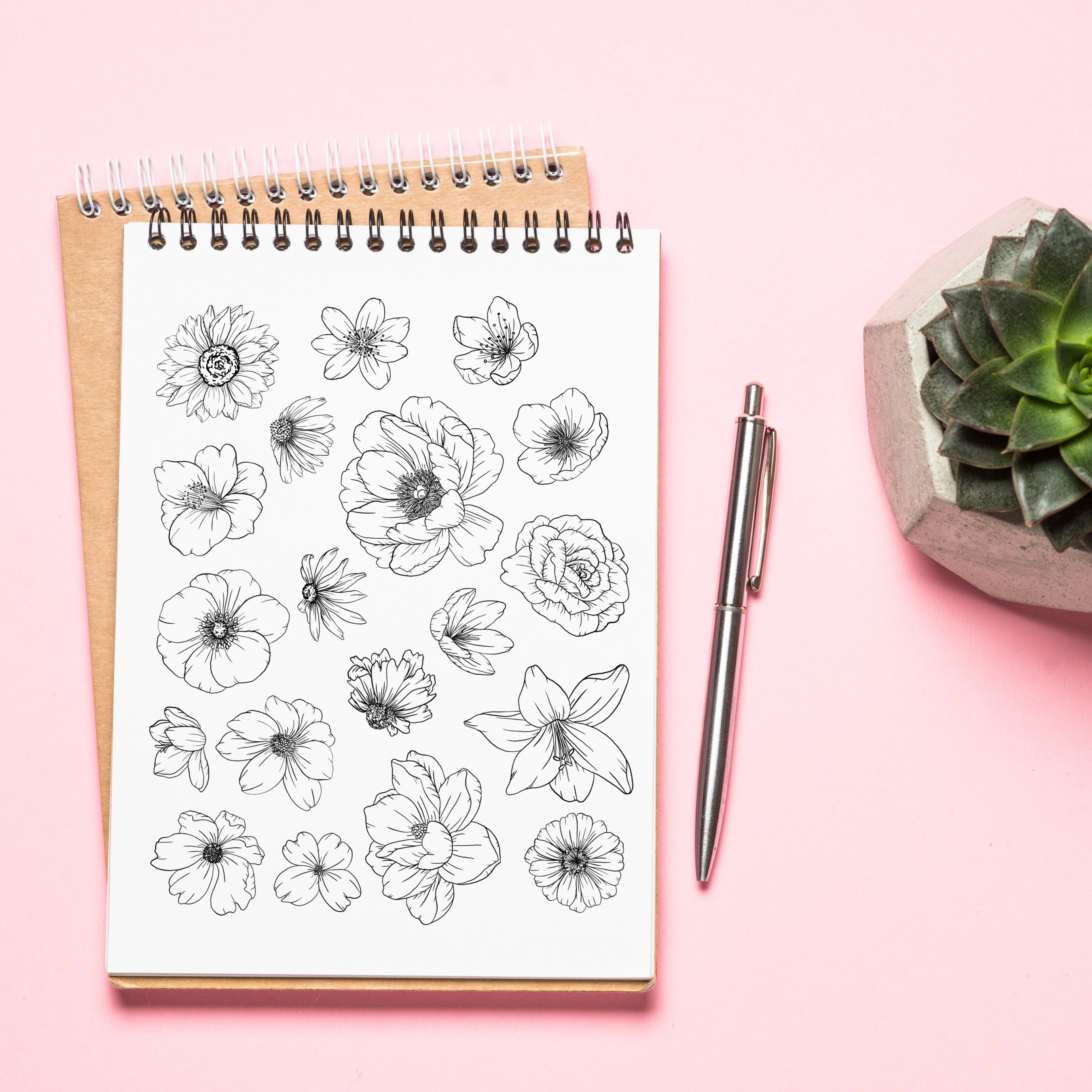 How To Draw FLOWERS Adult Tracing Book: Stress Relieving Flower Designs  (Trace Along) book by Blossom Notebooks: 9781652301233