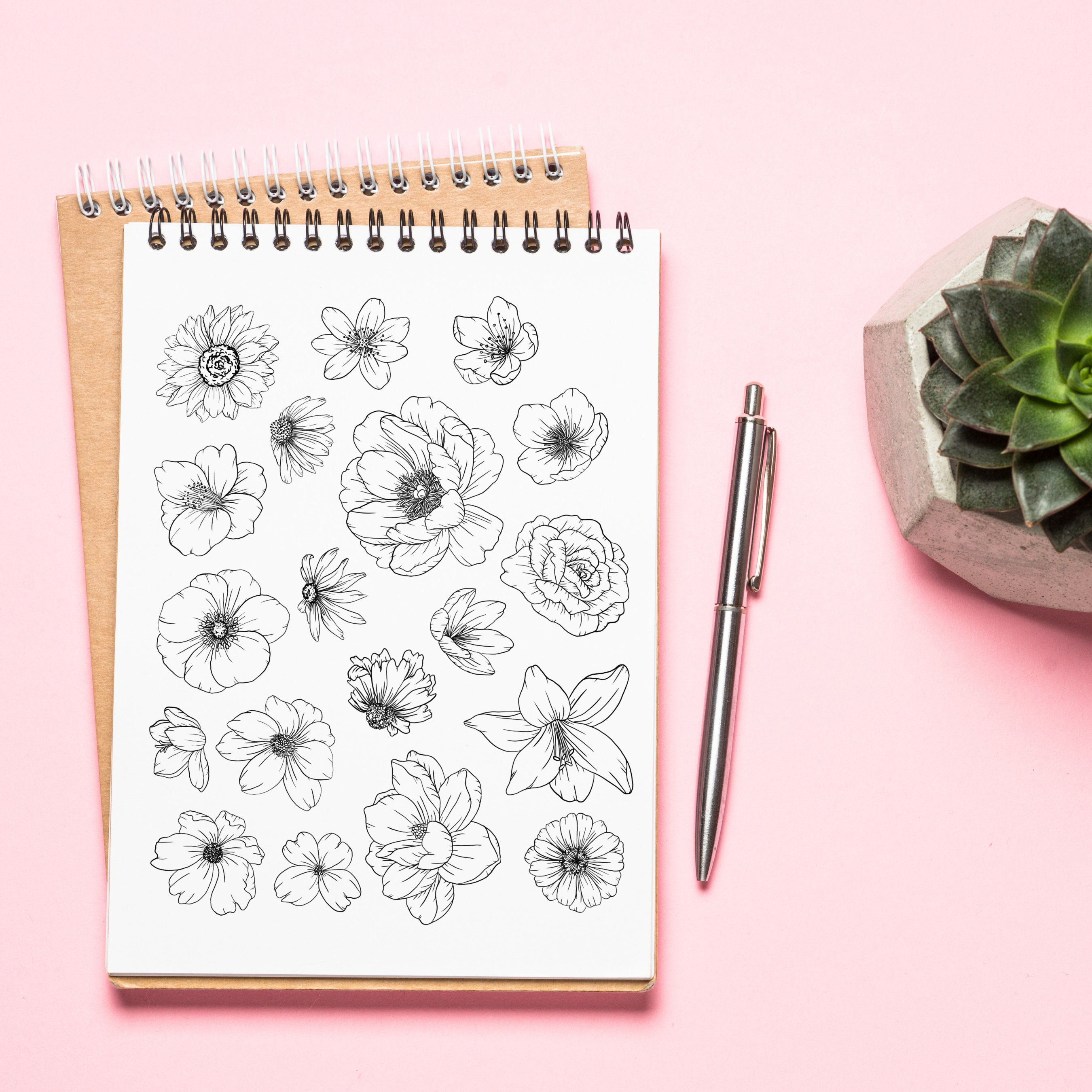 Flower Tracing Guide Learn to Draw Flowers Tracing Project Etsy Flower Tracing Guide Learn to Draw Flowers Tracing Project Etsy