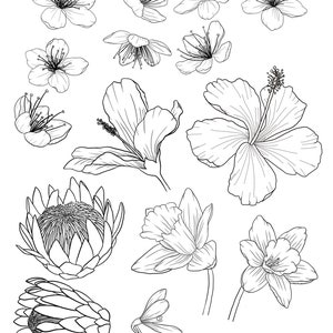 Flower Tracing Guide Learn To Draw Flowers Tracing Project DIGITAL Il 300x300.4283140876 H3y5