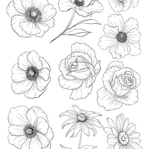 Flower Tracing Guide Learn To Draw Flowers Tracing Project DIGITAL Il 300x300.4283140878 4zl1