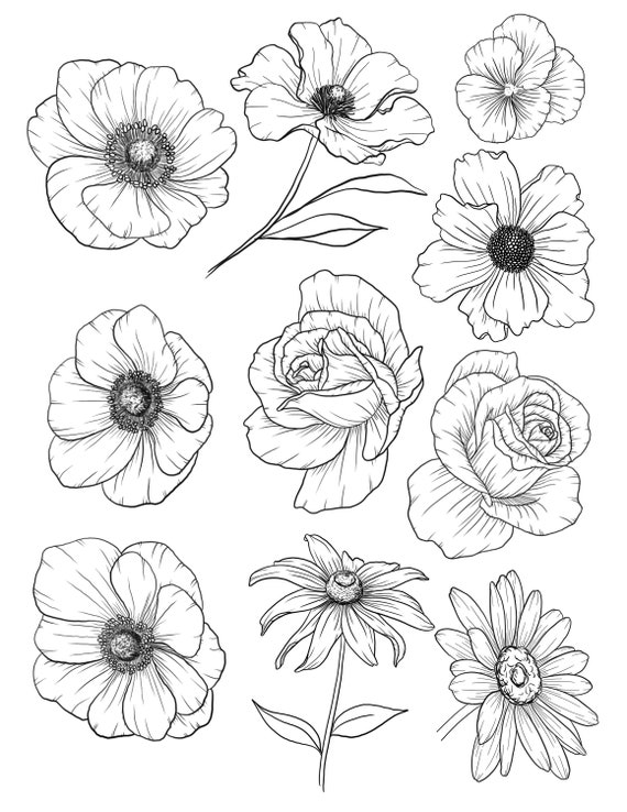 How To Draw FLOWERS Adult Tracing Book: Stress Relieving Flower Designs  (Trace Along) 9781652301233