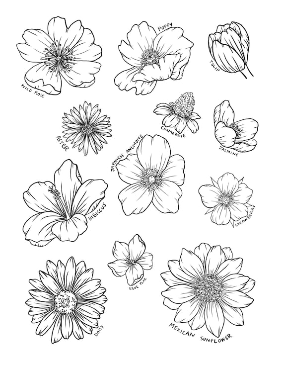How To Draw FLOWERS Adult Tracing Book: Stress Relieving Flower Designs  (Trace Along) book by Blossom Notebooks: 9781652301233
