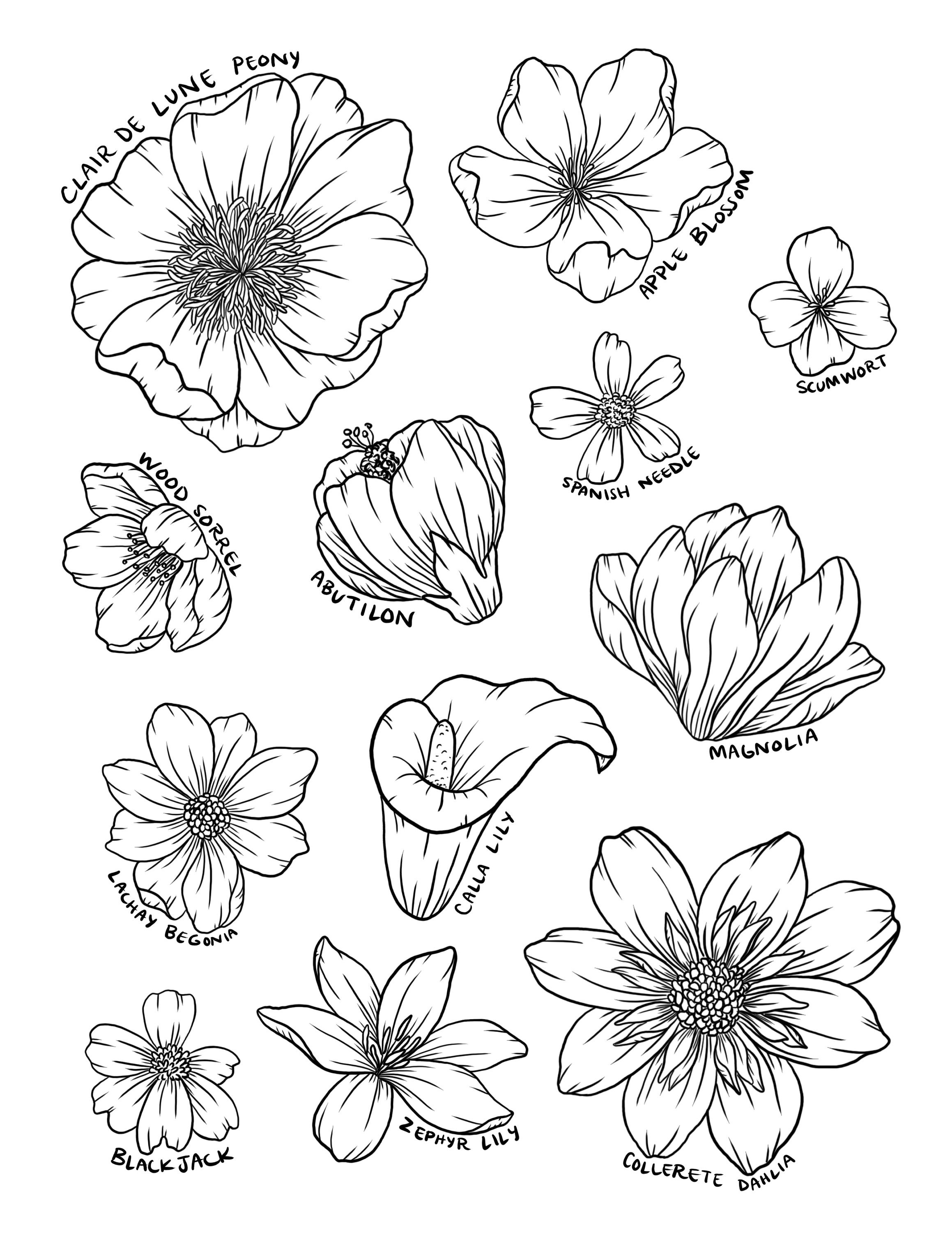 How To Draw FLOWERS Adult Tracing Book: Stress Relieving Flower Designs  (Trace Along) 9781652301233