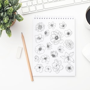 Flower Tracing Guide Learn To Draw Flowers Tracing Project DIGITAL Il 300x300.4185409946 Ggjm