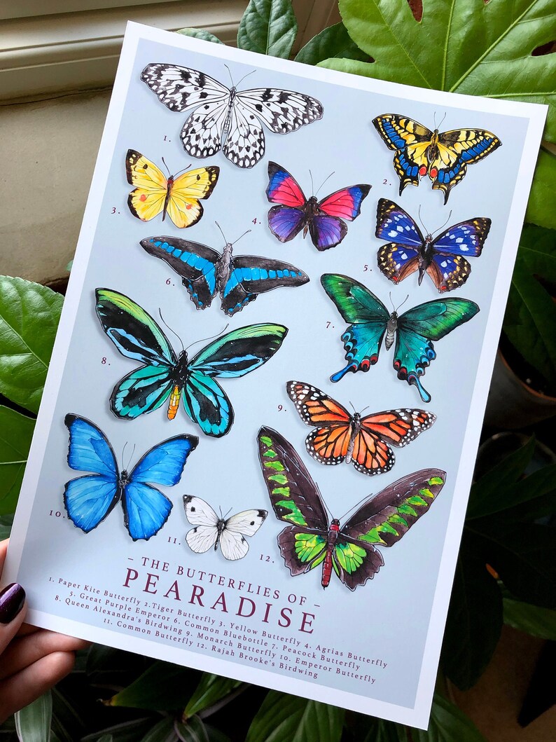 A4 Animal Crossing Butterflies Poster Customisable Island Etsy UK