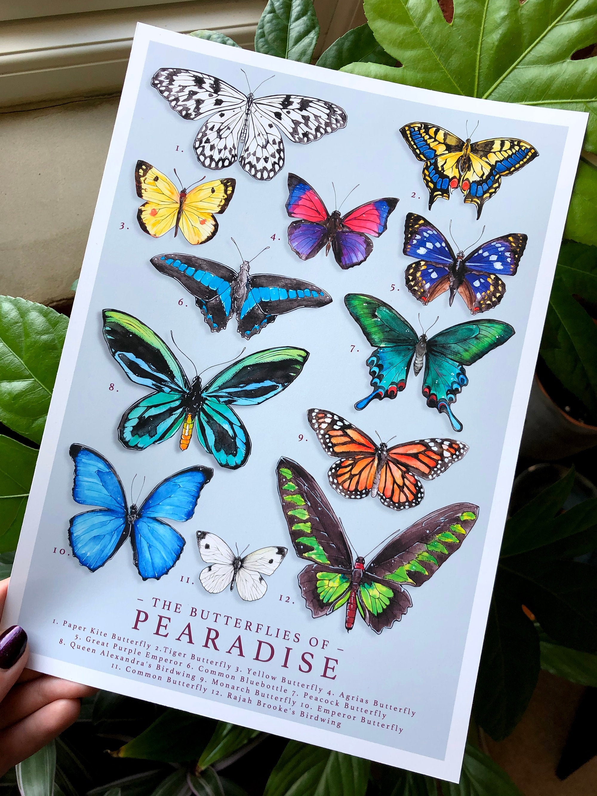 A4 Animal Crossing Vlinders Poster Aanpasbare eiland naam Etsy Nederland