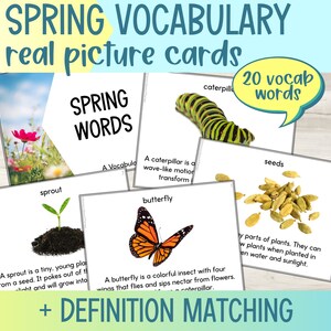 de vocabulaire de printemps imprimables | Correspondance des définitions | Flashcards d'orthophonie avec de vraies images | Cartes avec étui photo
