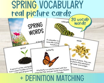 Spring Vocabulary Cards | Definition Matching with Real Pictures (Digital Download)