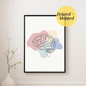 Brain Printed  | Minimalist art Human Anatomy Illustrations medical neurosurgeon Doctor neurology Orthopedic obgyn PRINTED AND SHIPPED