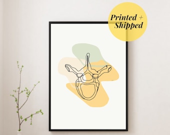 Thoracic Vertebra Printed Art | Spine Vertebrae Human Anatomy Chiro prints Medical Drawing Photo Physio Illustration PRINTED AND SHIPPED