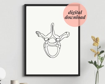 Thoracic Vertebra Spine Black and White -  Human Anatomy Vertebrae Bone Drawing | Minimal Chiropractic Medical Physio DIGITAL DOWNLOAD