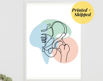 Pelvis Printed  | Minimalist art Human Anatomy Illustrations Chiropractic Doctor pelvic floor Physio Orthopedic obgyn PRINTED AND SHIPPED