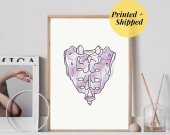 Sacrum Sacral Spine Tie Dye | Line Art Abstract Illustrations Minimalist | Chiropractic Medical Physio Doctor Prints PRINTED AND SHIPPED