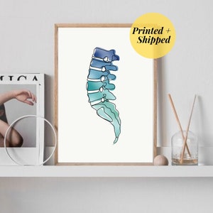 lumbar spine ombre | Anatomy Art Minimal Line Art Abstract Spine Medical Chiropractic Physio doctor poster picture PRINTED AND SHIPPED