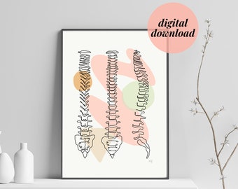 Columna vertebral 3 vistas / Dibujo anatómico minimalista / Ilustración humana minimalista / Impresiones quiroprácticas / Arte médico / Fisioterapia / DESCARGA DIGITAL