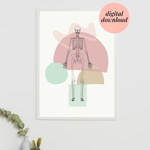 Skeleton Bones Full Skeletal Line art Anatomy Drawing Minimal Abstract Chiropractic Medical Office Physio Prints DIGITAL DOWNLOAD image 1