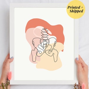Pelvis Lumbar Sacrum Print | Pelvic Bone Human Anatomy Line art Chiro Drawing Chiropractic Medical Doctor Physio Poster PRINTED AND SHIPPED