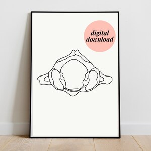 C1 Atlas Wirbelkörper | Line Art Anatomie Illustration MinimalistIsch Abstrakt Chiropractic Medical Doctor Physio DIGITAL DOWNLOAD