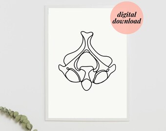 C2 AXIS Vertebrae | DIGITAL DOWNLOAD | Black and white chiropractic, physio, anatomy minimalist anatomical vertebra art