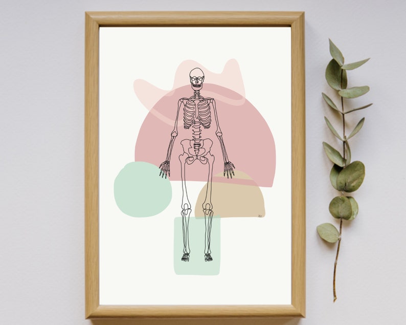 Skeleton Bones Full Skeletal Line art Anatomy Drawing Minimal Abstract Chiropractic Medical Office Physio Prints DIGITAL DOWNLOAD imagem 3