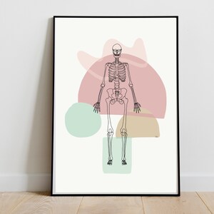 Skeleton Bones Full Skeletal Line art Anatomy Drawing Minimal Abstract Chiropractic Medical Office Physio Prints DIGITAL DOWNLOAD image 5