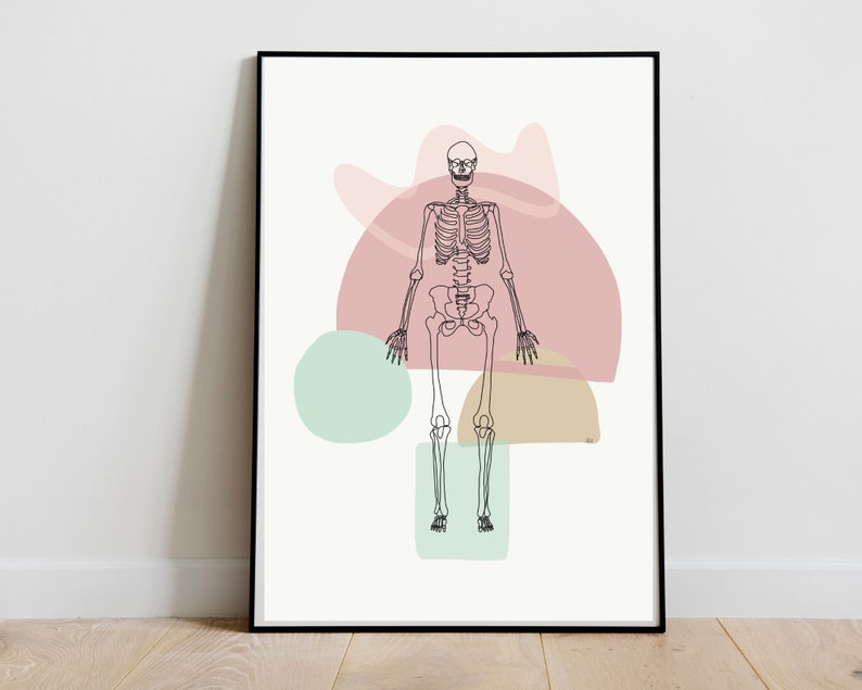 Skeleton Bones Full Skeletal Line art Anatomy Drawing Minimal Abstract Chiropractic Medical Office Physio Prints DIGITAL DOWNLOAD imagem 5