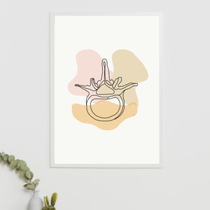 Lumbar Spine Vertebra | Line Vertebrae Human Anatomy Minimal Abstract ...