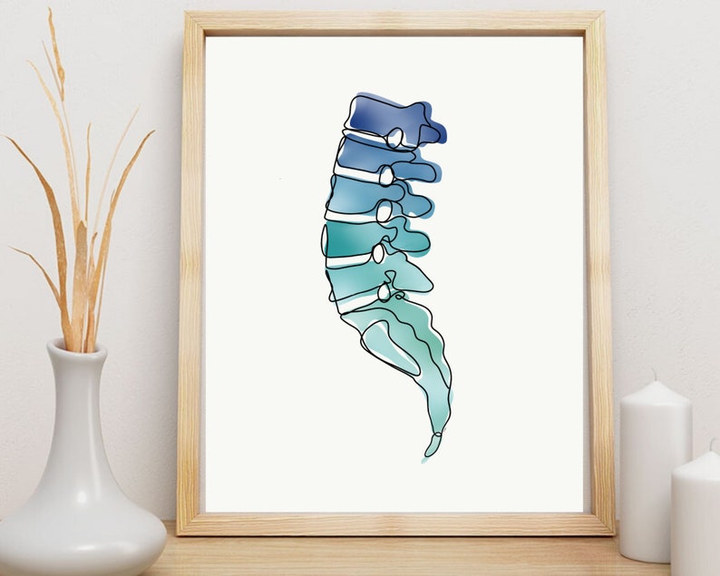 Lumbar Spine Ombre | Anatomy Art Minimal Line Art Abstract Spine ...
