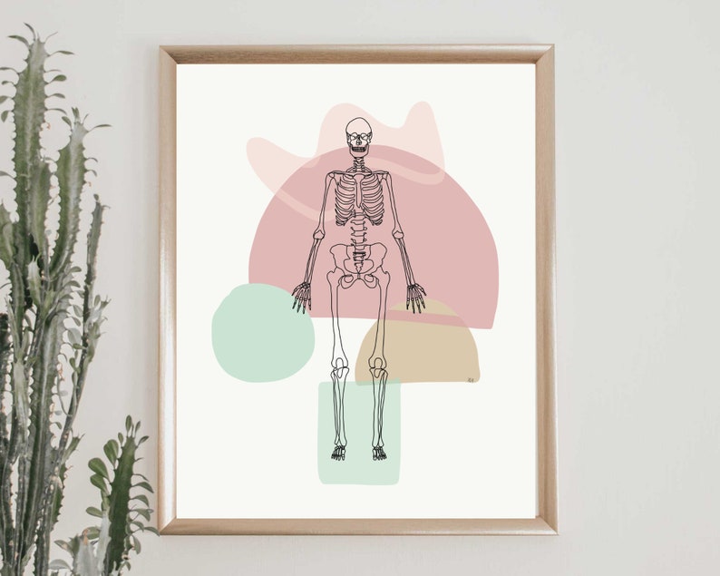 Skeleton Bones Full Skeletal Line art Anatomy Drawing Minimal Abstract Chiropractic Medical Office Physio Prints DIGITAL DOWNLOAD image 2