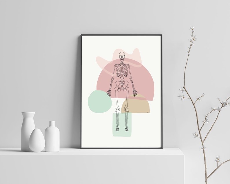 Skeleton Bones Full Skeletal Line art Anatomy Drawing Minimal Abstract Chiropractic Medical Office Physio Prints DIGITAL DOWNLOAD image 4