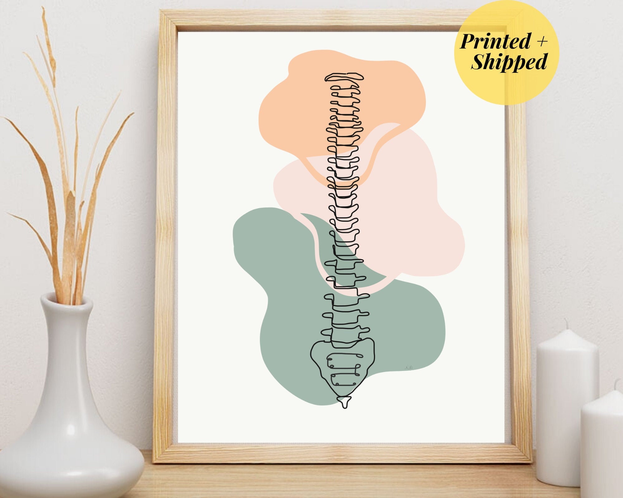 Spine Full Front View | Anatomy Minimal Abstract Art Print Medical Wall ...