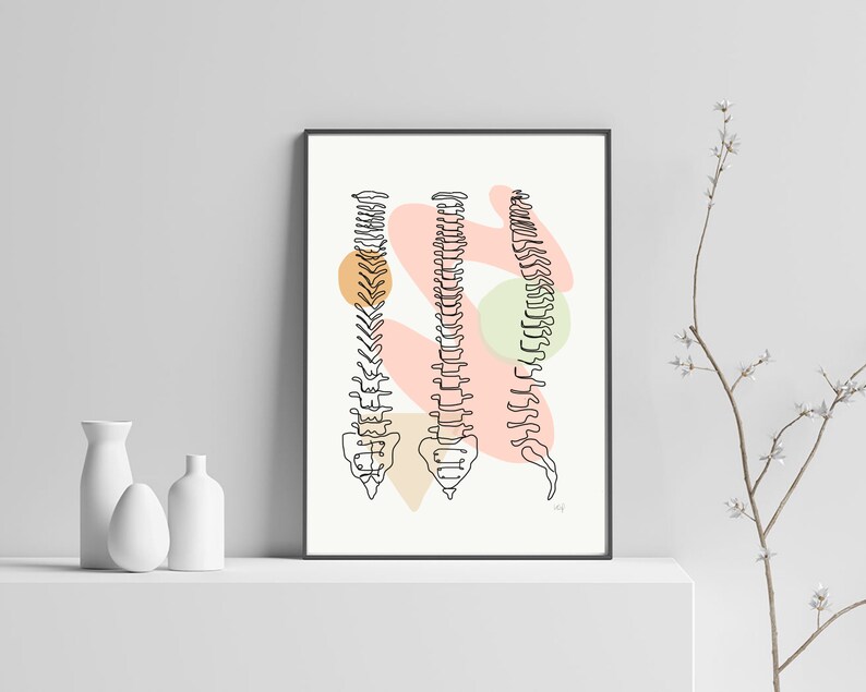 Spine Views 3 | Anatomy Prints Drawing Minimal Abstract Line Art Spinal ...