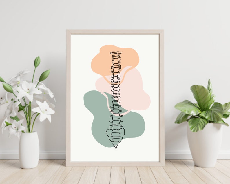 Spine Full Front View | Anatomy Minimal Abstract Art Print Medical Wall ...