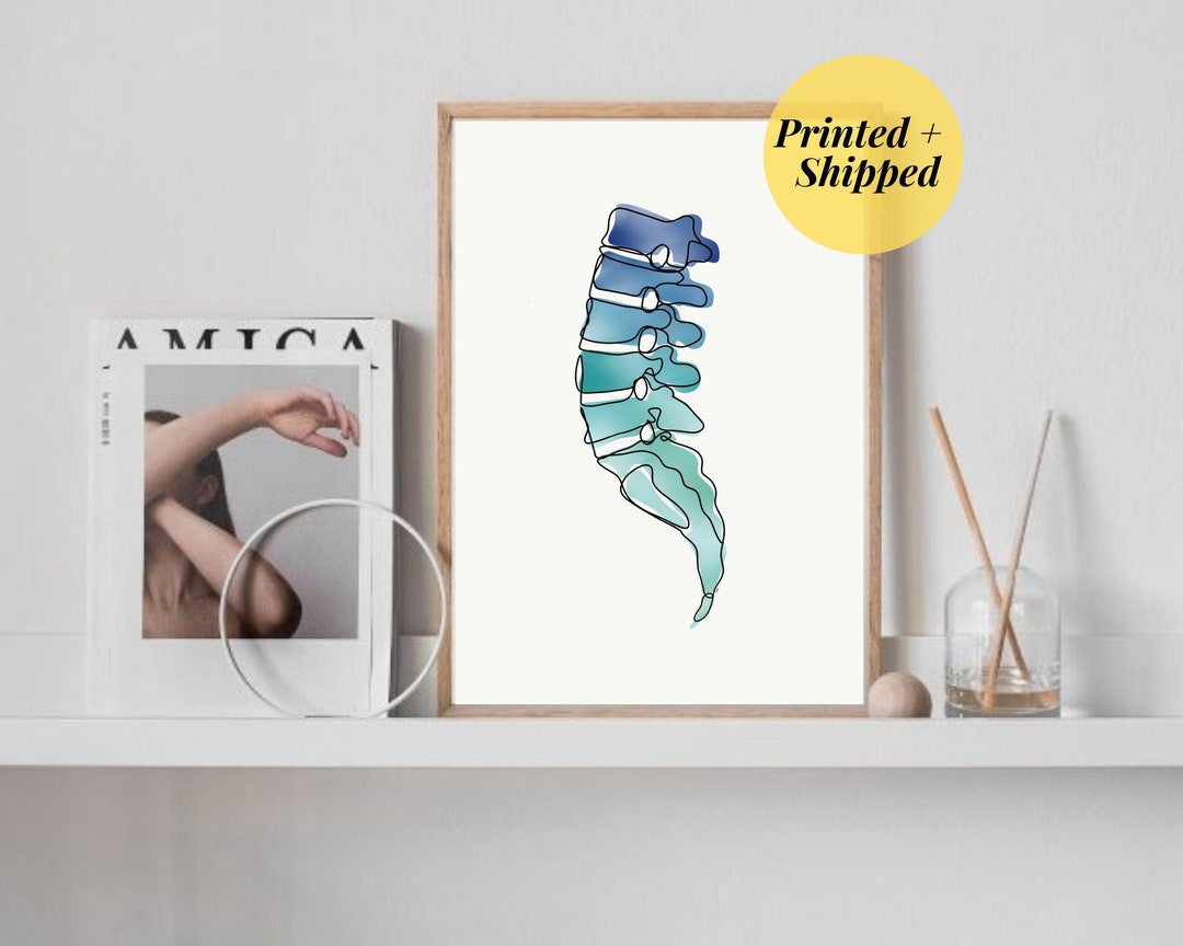 Lumbar Spine Ombre | Anatomy Art Minimal Line Art Abstract Spine ...
