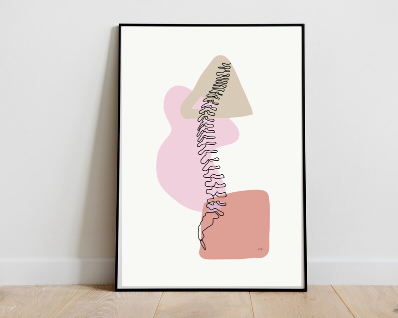Full Spine View Anatomy Drawing Spinal Column Line Art - Etsy
