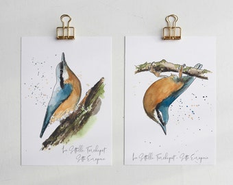 Nuthatch Torchepot -Set of 2 Prints based on my original watercolors of birds from our countryside