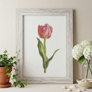 Tulipe à l'aquarelle, Impression d'après mon illustration florale réaliste et minimaliste, Art botanique,  Décoration salon chic et bohème