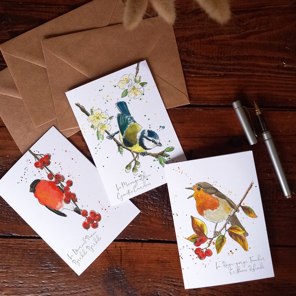 Lot de 3 Cartes postales d'oiseaux des jardins : Rouge Gorge, Bouvreuil Pivoine, Mésange bleue
