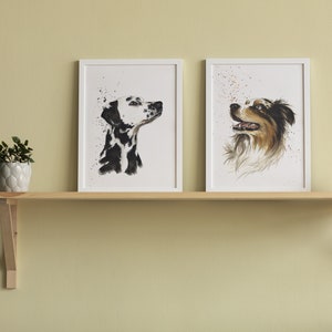 Hand painted portrait of pets. Personalized watercolor from photo. Commemorative memories. Australian Shepherd Dog image 2