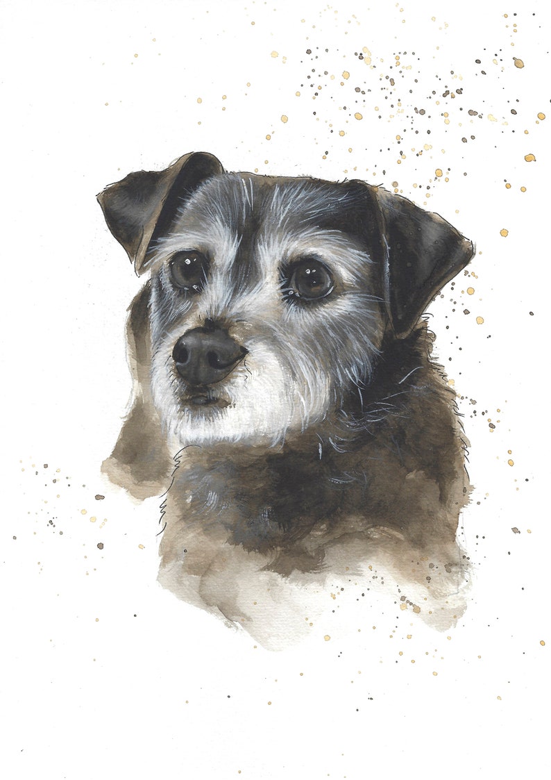 May include: A watercolor painting of a black and white dog with a gray muzzle. The dog has a sad expression and is looking to the left. The background is white with gold and black splatters.