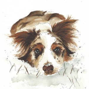 Hand painted portrait of pets. Personalized watercolor from photo. Commemorative memories. Australian Shepherd Dog image 8