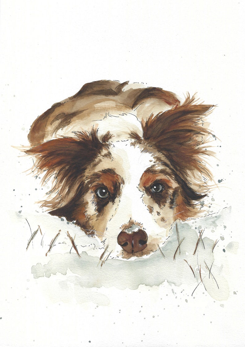 Hand painted portrait of pets. Personalized watercolor from photo. Commemorative memories. Australian Shepherd Dog image 8